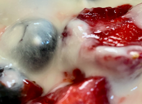 Yogurt and Berries